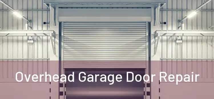  Overhead Garage Door Repair 